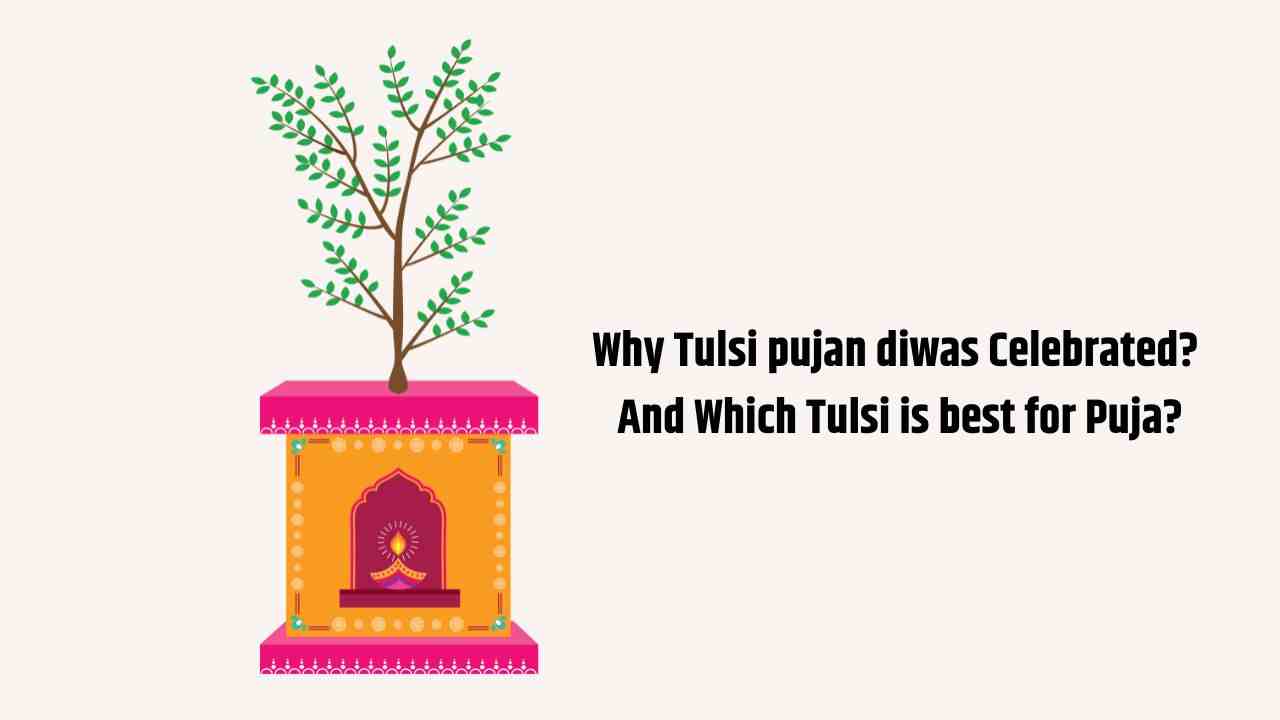 Tulsi pujan Diwas